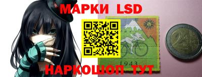 прущие грибы Будённовск